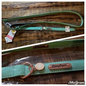 Teal Leather Leash and Collar Set